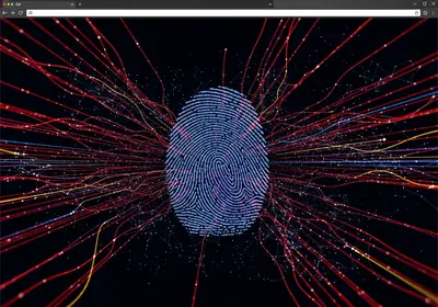 Protecting Your Privacy with Browser Fingerprinting Defenses