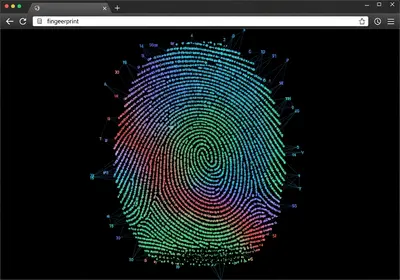 Understanding Browser Fingerprinting